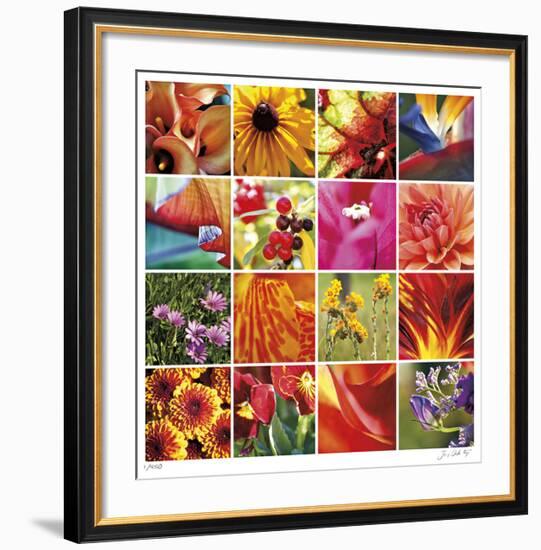 Floral Square Ensemble-Joy Doherty-Framed Giclee Print