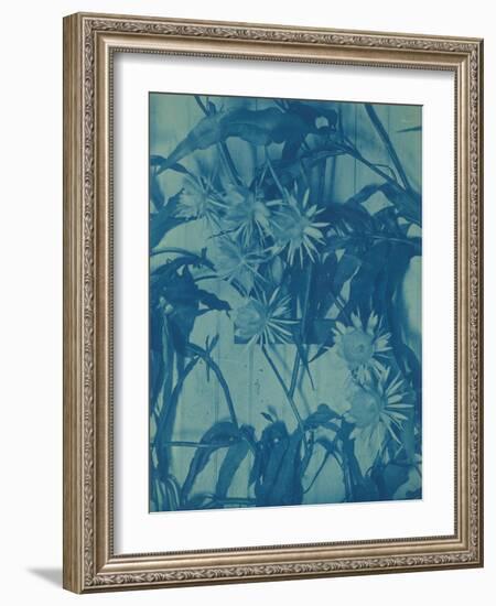 Floral Study, C.1900-Louis Comfort Tiffany-Framed Giclee Print