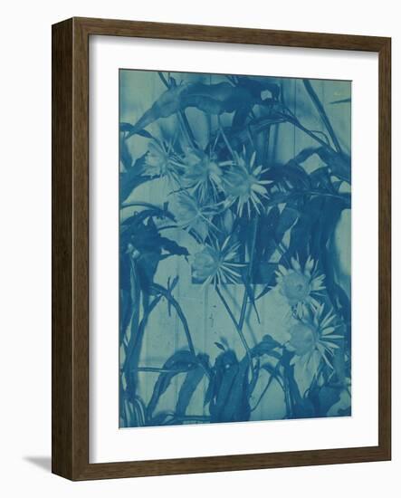 Floral Study, C.1900-Louis Comfort Tiffany-Framed Giclee Print