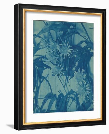 Floral Study, C.1900-Louis Comfort Tiffany-Framed Giclee Print