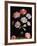 Floral Study: Carnations in a Vase-Balthasar van der Ast-Framed Giclee Print