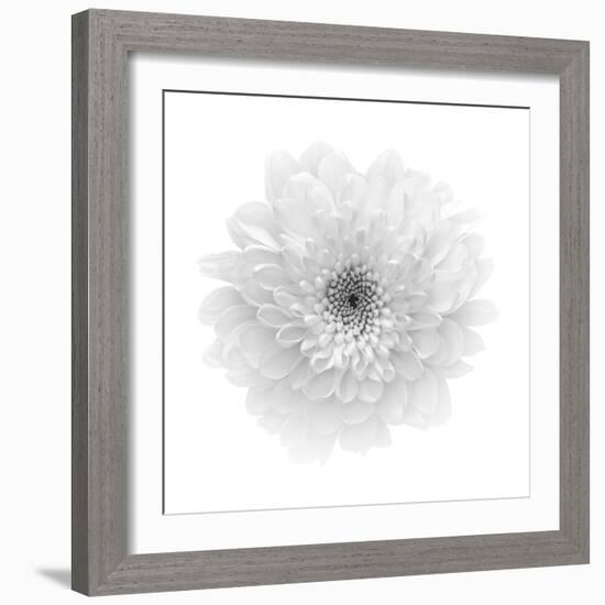 Floral Study - Hope-Alan Copson-Framed Giclee Print