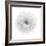 Floral Study - Hope-Alan Copson-Framed Giclee Print