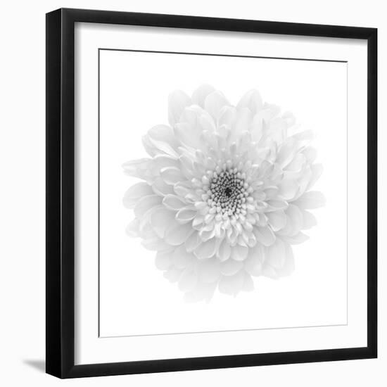 Floral Study - Hope-Alan Copson-Framed Giclee Print