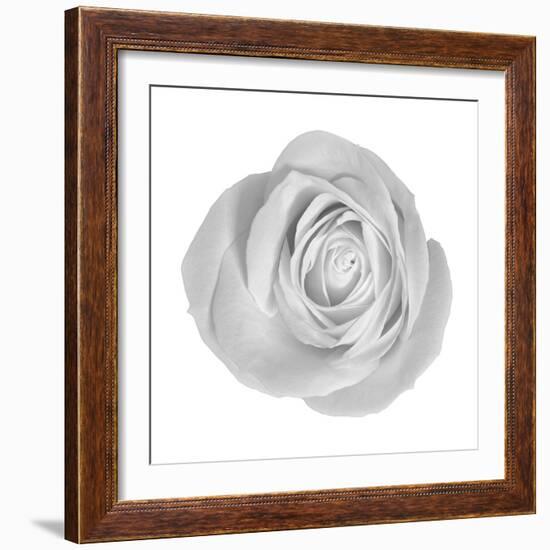 Floral Study - Love-Alan Copson-Framed Giclee Print