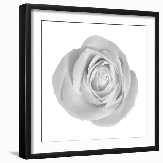 Floral Study - Love-Alan Copson-Framed Giclee Print