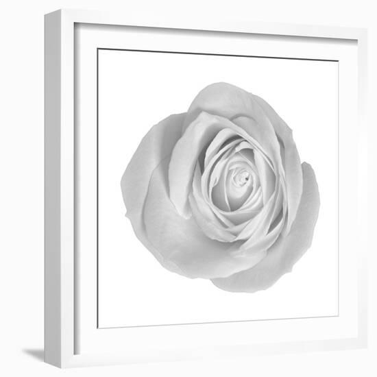 Floral Study - Love-Alan Copson-Framed Giclee Print