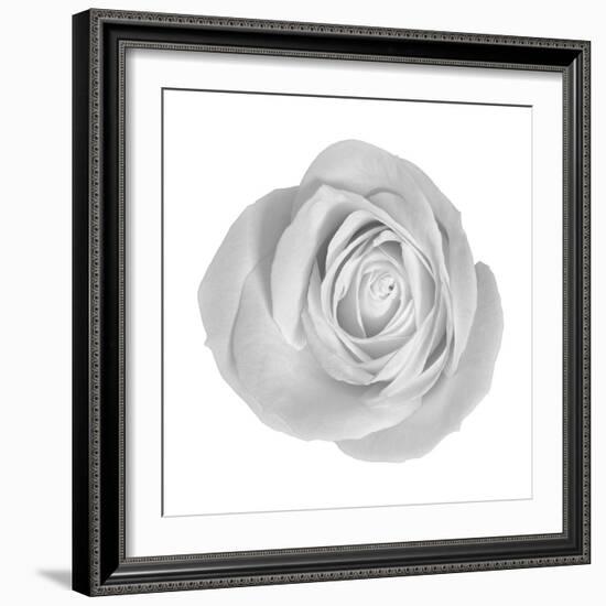 Floral Study - Love-Alan Copson-Framed Giclee Print