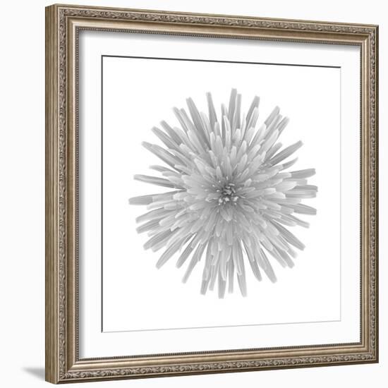 Floral Study - Trust-Alan Copson-Framed Giclee Print