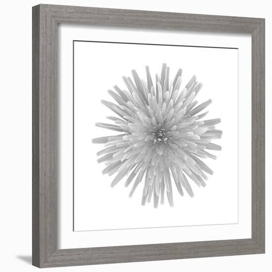 Floral Study - Trust-Alan Copson-Framed Giclee Print