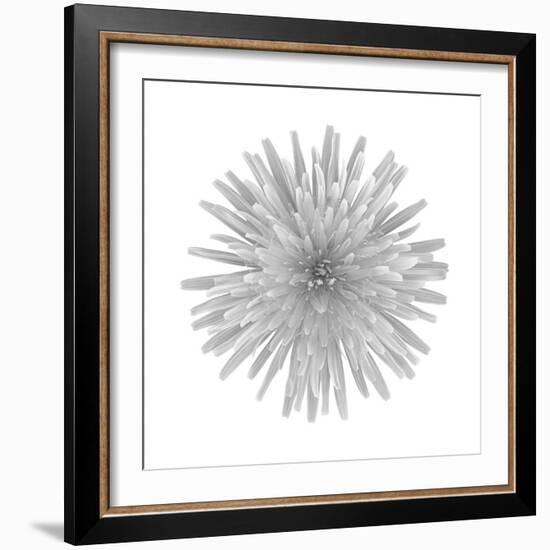 Floral Study - Trust-Alan Copson-Framed Giclee Print