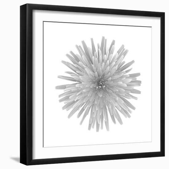Floral Study - Trust-Alan Copson-Framed Giclee Print