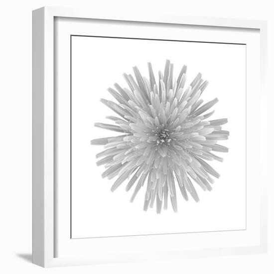 Floral Study - Trust-Alan Copson-Framed Giclee Print