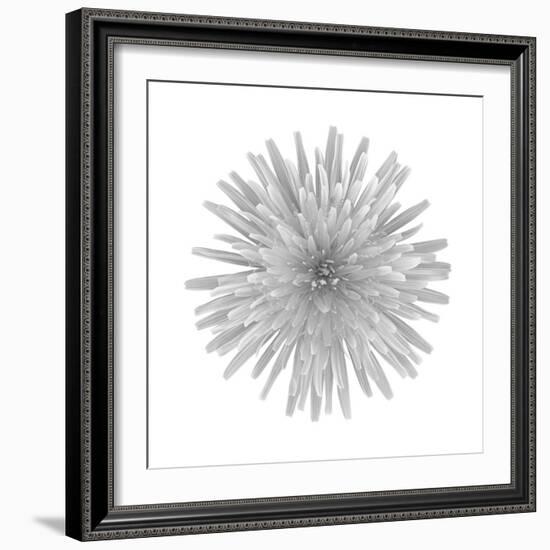 Floral Study - Trust-Alan Copson-Framed Giclee Print