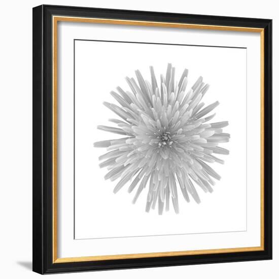 Floral Study - Trust-Alan Copson-Framed Giclee Print