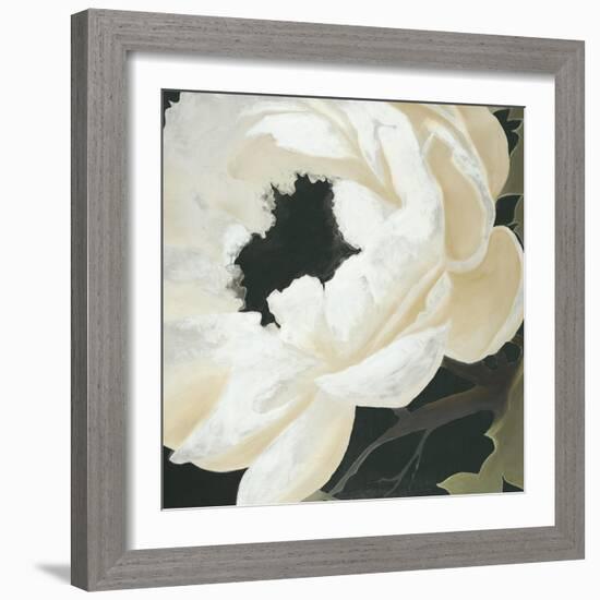 Floral Study-Kc Haxton-Framed Art Print