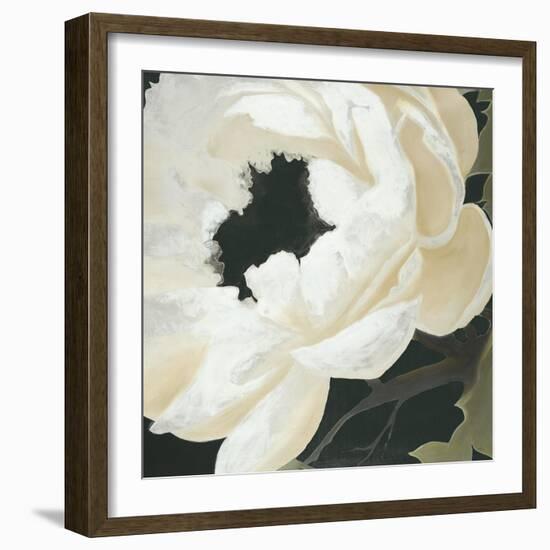 Floral Study-Kc Haxton-Framed Art Print