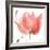 Floral Sway Peach II-Lanie Loreth-Framed Art Print