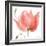 Floral Sway Peach II-Lanie Loreth-Framed Art Print