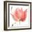 Floral Sway Peach II-Lanie Loreth-Framed Art Print