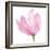 Floral Sway Pink II-Lanie Loreth-Framed Art Print