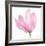 Floral Sway Pink II-Lanie Loreth-Framed Art Print