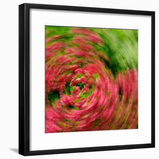 Floral Swirl-Steven Maxx-Framed Photographic Print