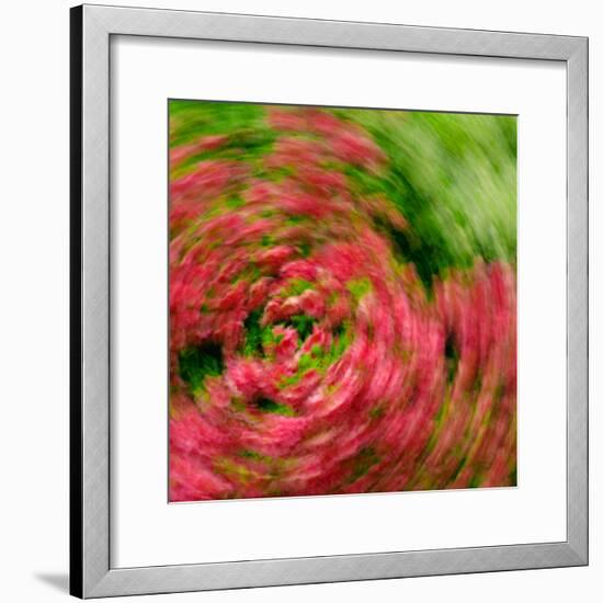 Floral Swirl-Steven Maxx-Framed Photographic Print