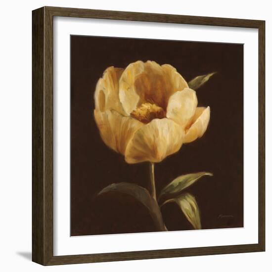 Floral Symposium I-Julianne Marcoux-Framed Art Print