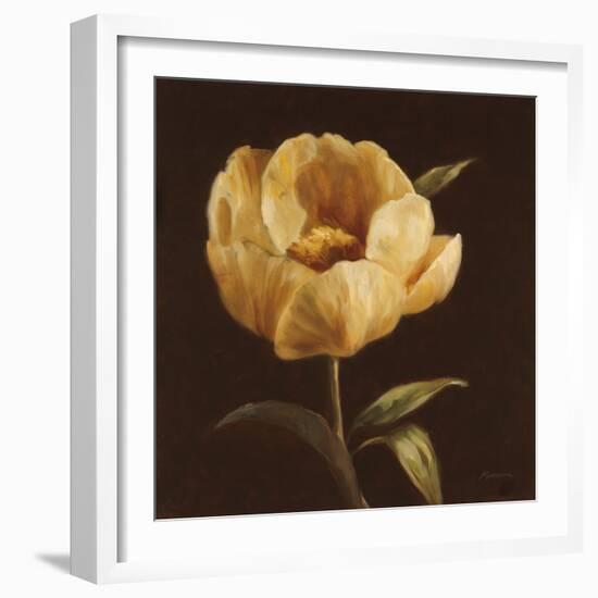 Floral Symposium I-Julianne Marcoux-Framed Art Print