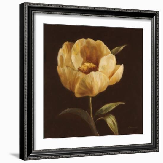 Floral Symposium I-Julianne Marcoux-Framed Art Print