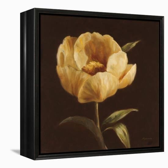 Floral Symposium I-Julianne Marcoux-Framed Stretched Canvas