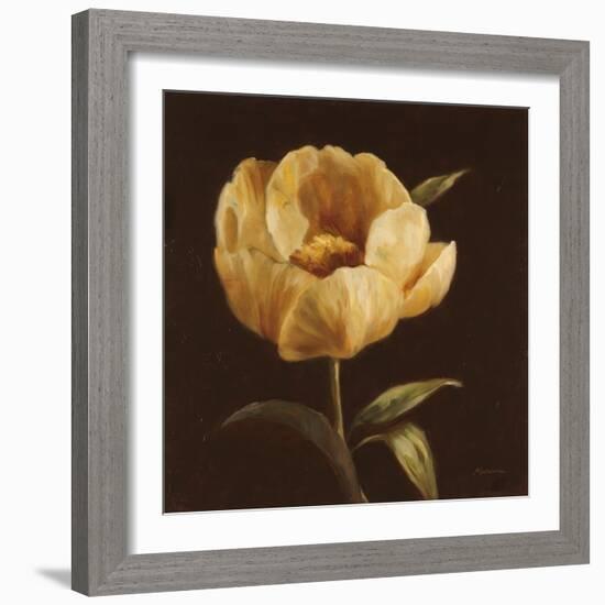 Floral Symposium I-Julianne Marcoux-Framed Art Print