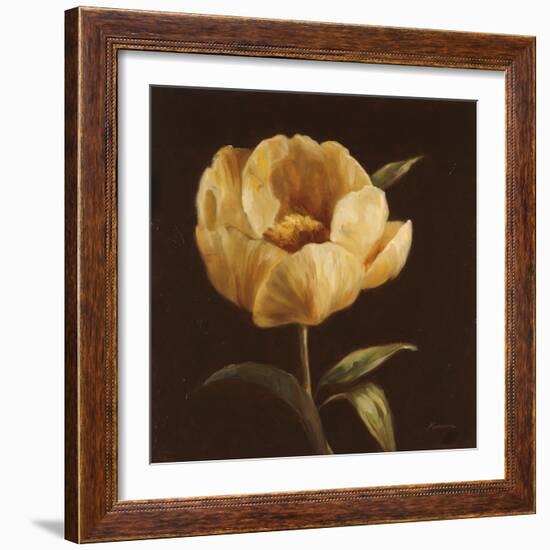 Floral Symposium I-Julianne Marcoux-Framed Art Print