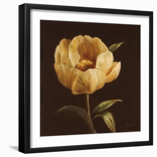 Floral Symposium I-Julianne Marcoux-Framed Art Print