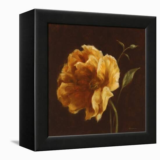 Floral Symposium II-Julianne Marcoux-Framed Stretched Canvas