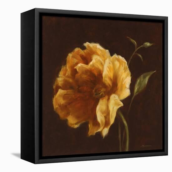 Floral Symposium II-Julianne Marcoux-Framed Stretched Canvas