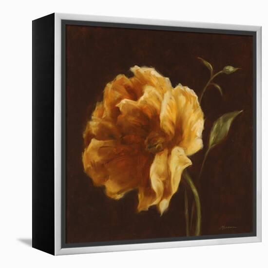 Floral Symposium II-Julianne Marcoux-Framed Stretched Canvas