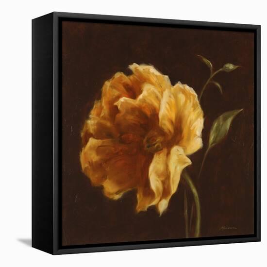 Floral Symposium II-Julianne Marcoux-Framed Stretched Canvas