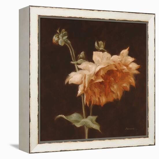 Floral Symposium III-Julianne Marcoux-Framed Stretched Canvas