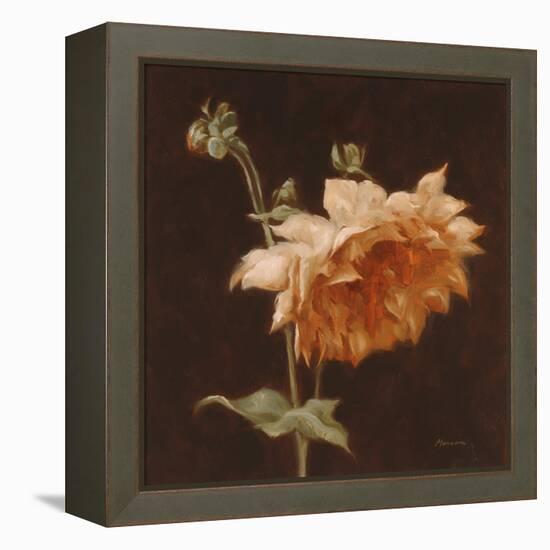 Floral Symposium III-Julianne Marcoux-Framed Stretched Canvas