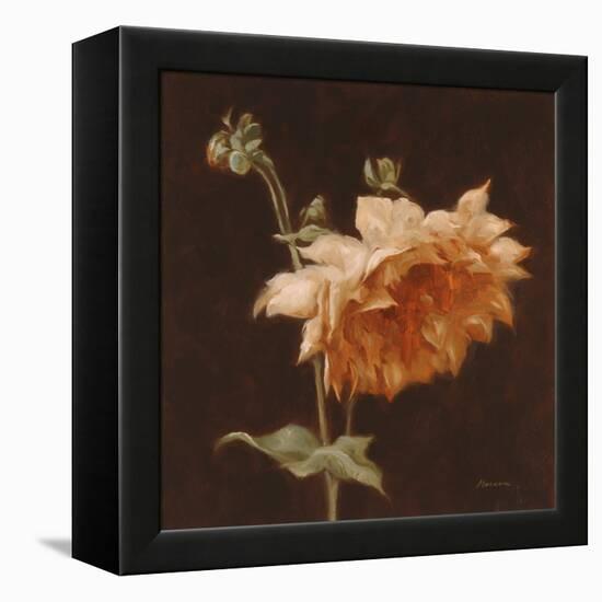 Floral Symposium III-Julianne Marcoux-Framed Stretched Canvas