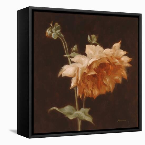 Floral Symposium III-Julianne Marcoux-Framed Stretched Canvas