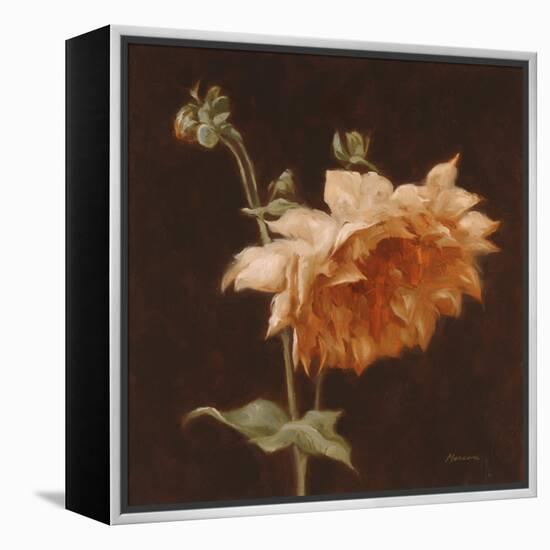 Floral Symposium III-Julianne Marcoux-Framed Stretched Canvas