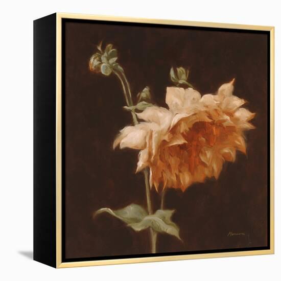 Floral Symposium III-Julianne Marcoux-Framed Stretched Canvas