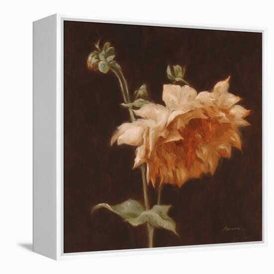 Floral Symposium III-Julianne Marcoux-Framed Stretched Canvas