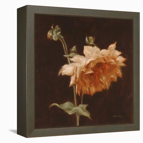 Floral Symposium III-Julianne Marcoux-Framed Stretched Canvas