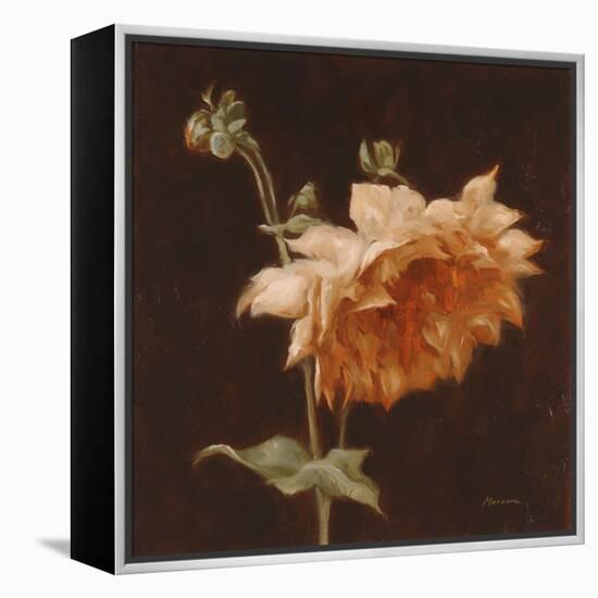 Floral Symposium III-Julianne Marcoux-Framed Stretched Canvas