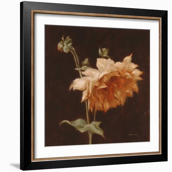 Floral Symposium III-Julianne Marcoux-Framed Art Print