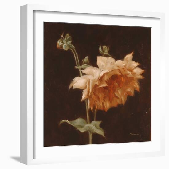 Floral Symposium III-Julianne Marcoux-Framed Art Print